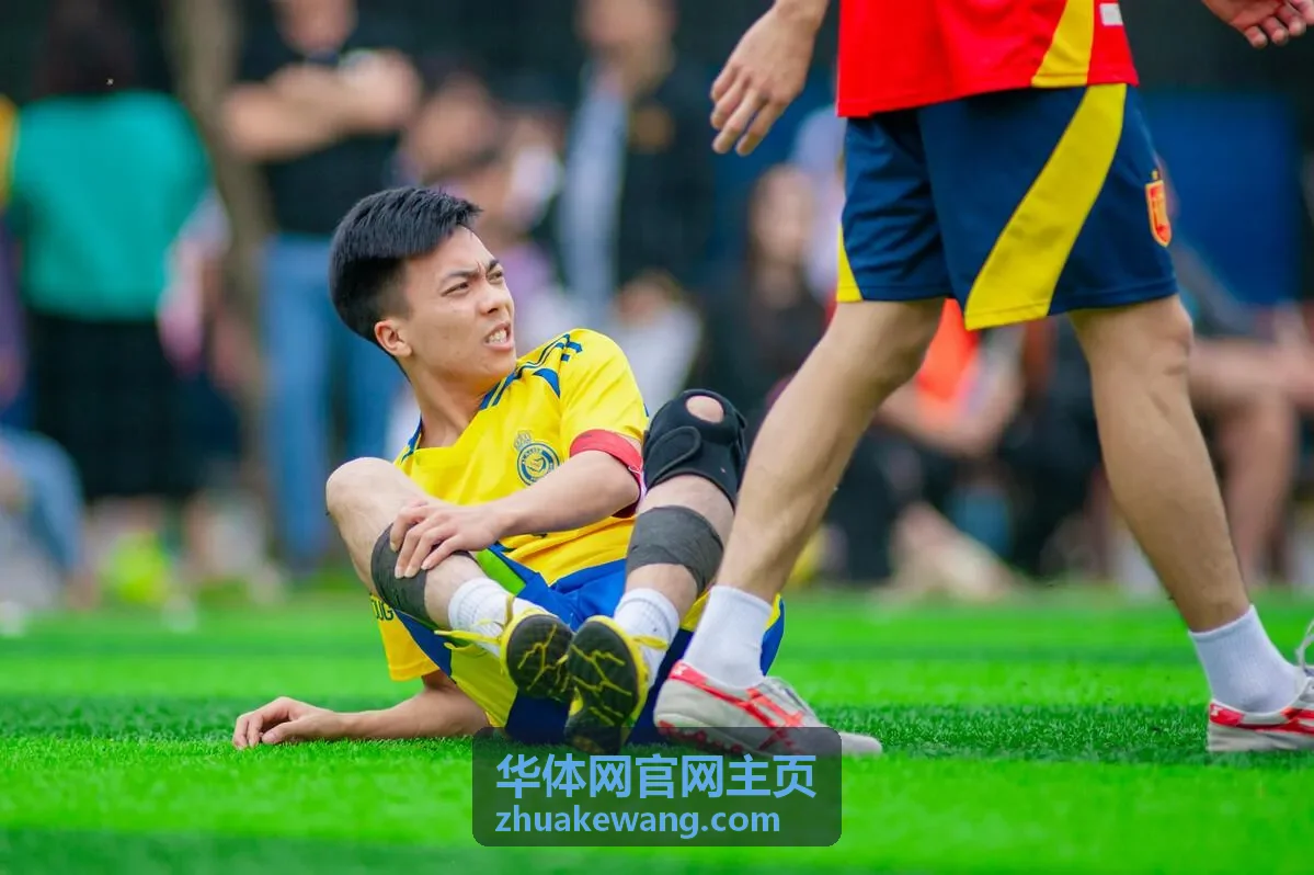 华体网官网主页场馆与服务入口配图